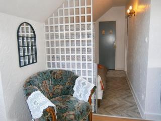 Appartement moderne à Lourdes avec jacuzzi, 54 m² - Lourdes - 1