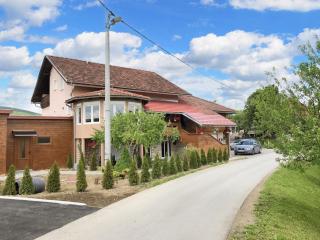 Charming apartment in Rakovica with shared pool - 35 sqm - Rakovica - 0