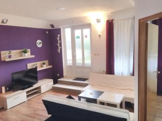 Charming apartment in Rakovica with shared pool - 35 sqm - Rakovica - 2