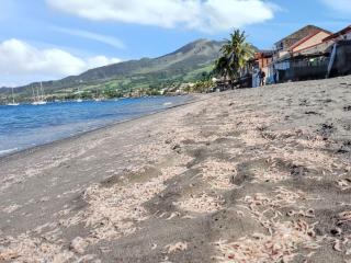 Appartement cosy au Carbet avec balcon et vue sur mer - 70 m² - 3