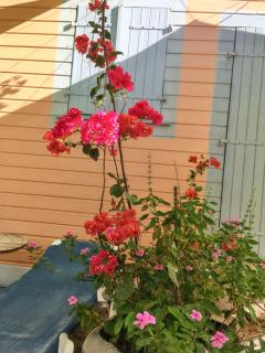 Appartement cosy au Carbet avec balcon et vue sur mer - 70 m² - 1