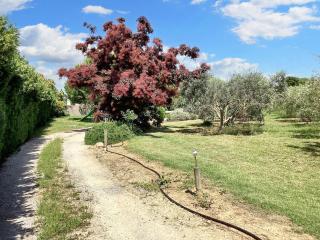 Maison conviviale avec jardin à Saint-Nazaire-de-Pézan - 4