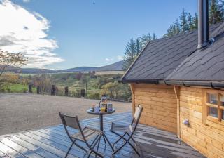 The Wee Spruce - 9