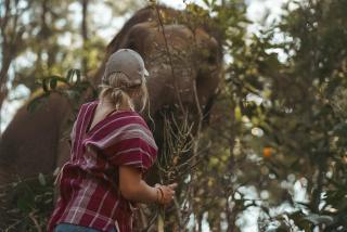 Stamps Backpackers - 2