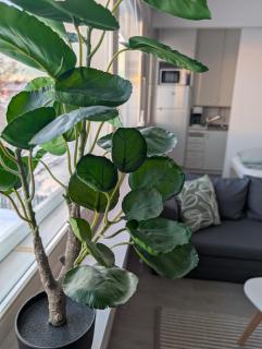 Cozy apartment in Kemi City - Kemi - 6