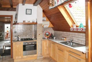 Maison charmante avec vue sur la montagne à Triembach-au-Val - 1