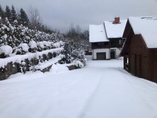 Villa Maxim - Skhidnitsa - 9