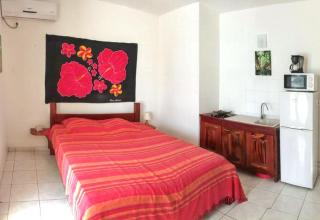 Studio avec terrasse à Capesterre-de-Marie-Galante 20 m² vue mer - 4