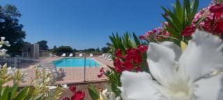 Villa "Santa Giulia" Proche Porto Vecchio dans résidence avec piscine - 9
