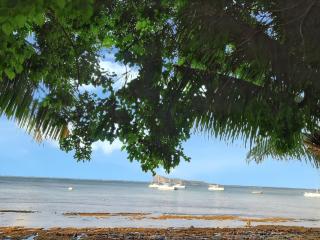 Spacious house in Grand Baie with shared pool - Grand Baie - 5