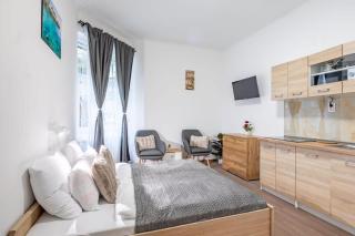Comfy Studio in the center of the city - Budapest - 8