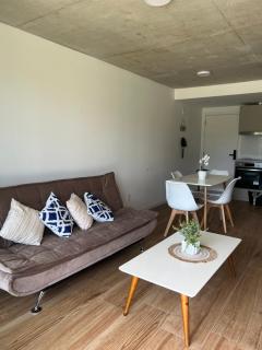 Hermoso Apto Frente al Mar a estrenar - Punta del Este - 7