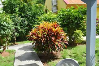 Maison cosy Les Anses d'Arlet + Jardin - Les Anses-d'Arlets - 8