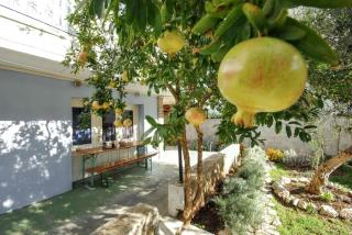 Family Apartment in Tisno - 65 m² - Near Beach 6 Ppl - Tisno - 1
