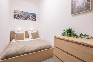 Central Large and Comfy Apartment - Budapest - 8