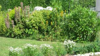 Studio charmant à Vierville-sur-Mer - 30m² avec jardin - Vierville-sur-Mer - 1
