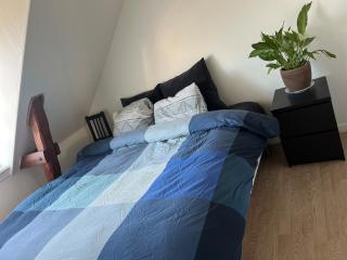 Centrally located in the heart of Silkeborg with lovely view - Silkeborg - 7