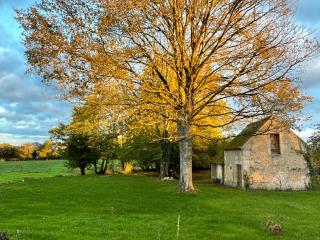 Les maisons sur la Colline - Colonard-Corubert - 5