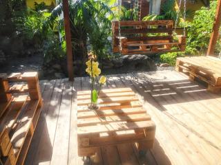 Appartement charmant à Basse-Terre - 25 m² avec jardin - 6