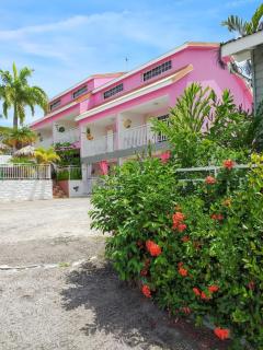 Appartement charmant à Sainte-Anne avec piscine partagée - 60 m² - Sainte-Anne - 7