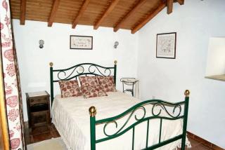 Welcoming House in Amarante with Unfenced Garden - 8