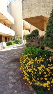 Appartement élégant à Grosseto-Prugna de 46 m² avec piscine partagée - Grosseto-Prugna - 4