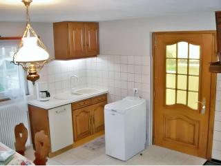 Appartement charmant à Jebsheim avec terrasse et jardin - Jebsheim - 6
