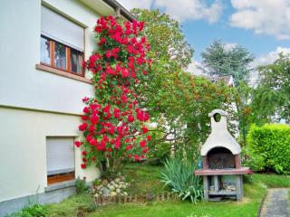Appartement charmant à Jebsheim avec terrasse et jardin - Jebsheim - 1