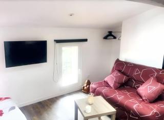 Studio charmant à Saint-Jory, 25 m² avec piscine partagée - Saint-Jory - 5