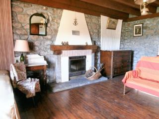 Maison de charme dans le Parc des Volcans d'Auvergne avec terrasse - Lascelle - 9