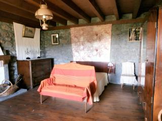 Maison de charme dans le Parc des Volcans d'Auvergne avec terrasse - Lascelle - 8