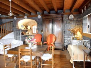 Maison de charme dans le Parc des Volcans d'Auvergne avec terrasse - Lascelle - 7