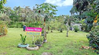 Charmante Maison à Capesterre-Belle-Eau avec Jardin et Terrasse - 7