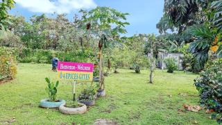 Maison intime avec jardin à Capesterre - Capesterre-Belle-Eau - 9