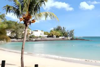 Comfortable apartment in Grand Baie, 31 m², shared pool - Grand Baie - 1