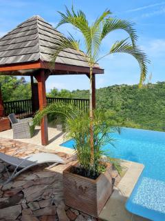 Charmant Bungalow avec vue sur la mer à Marigot, 60 m², piscine. - Vieux-Habitants - 0