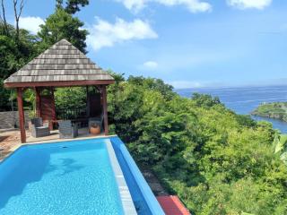 Charmant Bungalow avec vue sur la mer à Marigot, 60 m², piscine. - Vieux-Habitants - 4