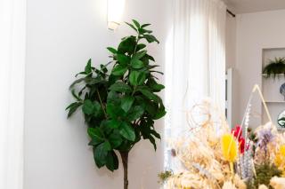 luxueux appartement T3 Enghien les bains 1 - 4