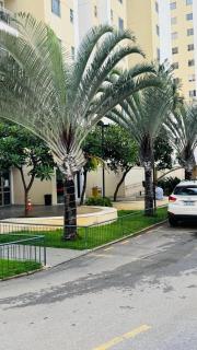 Apartamento completo com piscina aquecida - 3