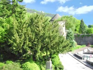Appartement cosy Salins-les-Bains 18 m² Parking - Salins-les-Bains - 2