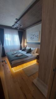 Apartment Queen 735 - Zlatibor - 8