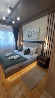 Apartment Queen 735 - Zlatibor - 9