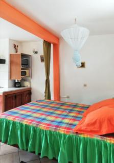 Studio charmant à Sainte-Luce, 28 m², terrasse et jardin. - Sainte-Luce - 1