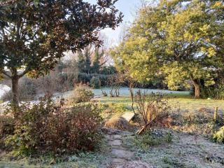 Les Terrasses Perchées sur l'Oudon Segré - 9