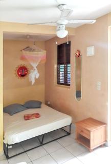 Studio charmant La Trinité 20 m² + jardin - La Trinité - 5