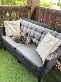 Charmant appartement à Saint-Julien 40 m² avec vue jardin - Saint-Julien-en-Born - 4