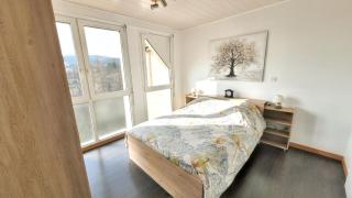 Appartement confortable à Bitche, 64 m², parfait pour familles - Bitche - 9