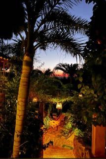 Posada Olivo - 7
