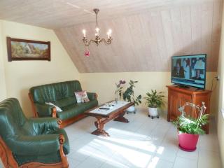 Appartement cosy à Bernardvillé 60 m² avec jardin vue montagne - Bernardvillé - 8