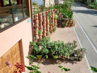Appartement cosy à Bernardvillé 60 m² avec jardin vue montagne - Bernardvillé - 5